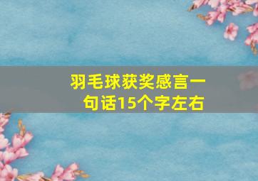 羽毛球获奖感言一句话15个字左右