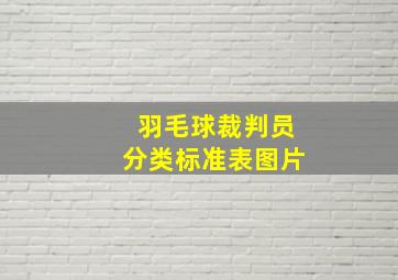 羽毛球裁判员分类标准表图片