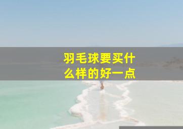 羽毛球要买什么样的好一点