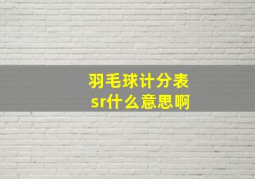 羽毛球计分表sr什么意思啊