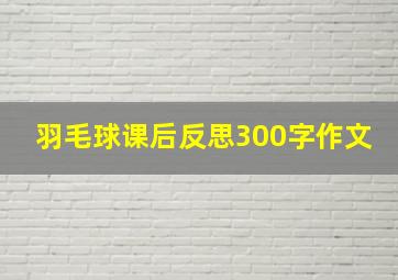 羽毛球课后反思300字作文