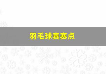 羽毛球赛赛点