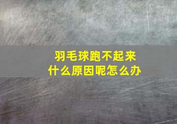 羽毛球跑不起来什么原因呢怎么办