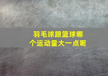 羽毛球跟篮球哪个运动量大一点呢