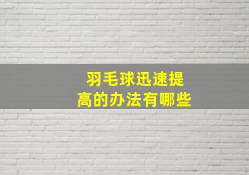 羽毛球迅速提高的办法有哪些