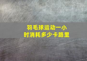 羽毛球运动一小时消耗多少卡路里