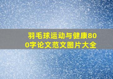 羽毛球运动与健康800字论文范文图片大全