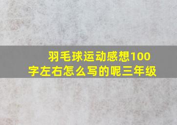 羽毛球运动感想100字左右怎么写的呢三年级