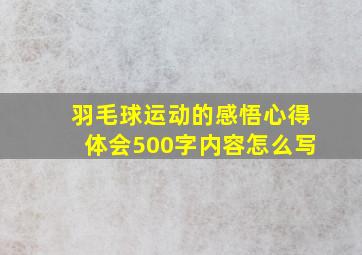 羽毛球运动的感悟心得体会500字内容怎么写