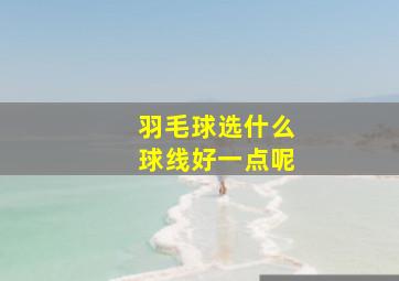 羽毛球选什么球线好一点呢