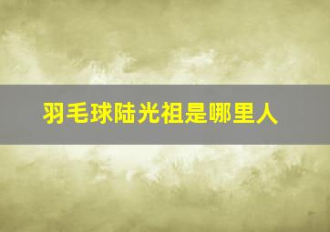 羽毛球陆光祖是哪里人