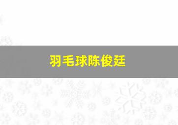 羽毛球陈俊廷