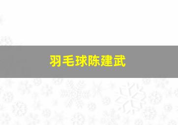 羽毛球陈建武