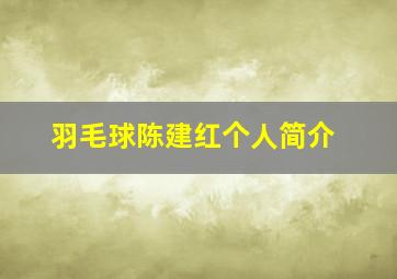 羽毛球陈建红个人简介