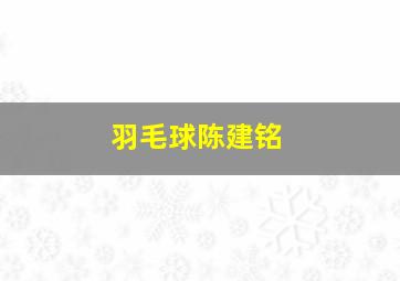 羽毛球陈建铭