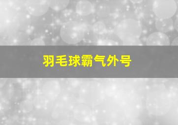 羽毛球霸气外号