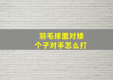 羽毛球面对矮个子对手怎么打