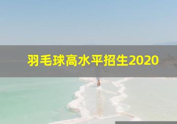 羽毛球高水平招生2020