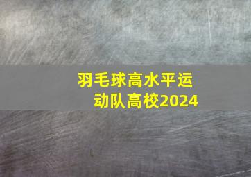 羽毛球高水平运动队高校2024