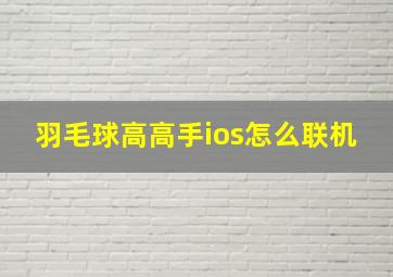 羽毛球高高手ios怎么联机