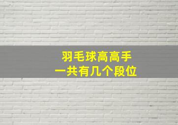 羽毛球高高手一共有几个段位