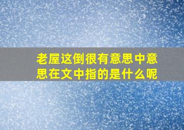 老屋这倒很有意思中意思在文中指的是什么呢