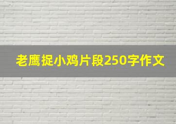 老鹰捉小鸡片段250字作文