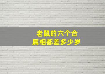 老鼠的六个合属相都差多少岁