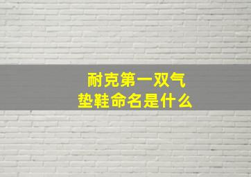 耐克第一双气垫鞋命名是什么