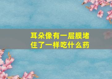 耳朵像有一层膜堵住了一样吃什么药