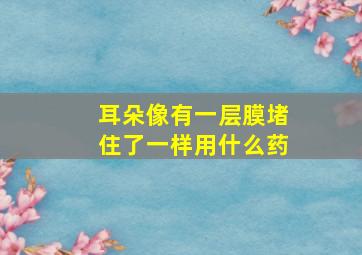 耳朵像有一层膜堵住了一样用什么药