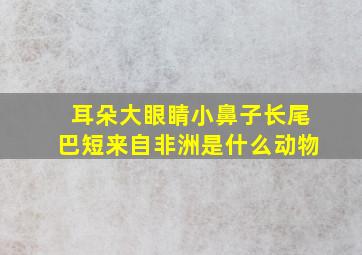 耳朵大眼睛小鼻子长尾巴短来自非洲是什么动物