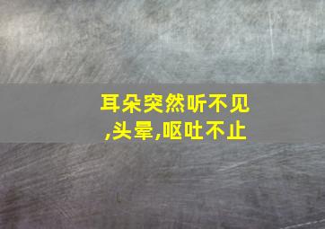 耳朵突然听不见,头晕,呕吐不止