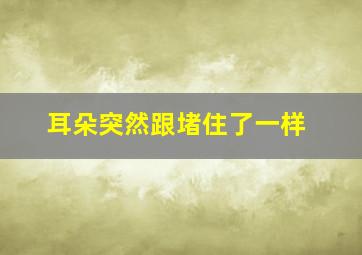 耳朵突然跟堵住了一样