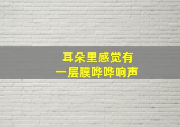 耳朵里感觉有一层膜哗哗响声