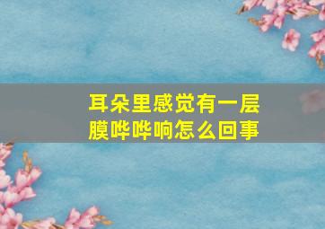 耳朵里感觉有一层膜哗哗响怎么回事