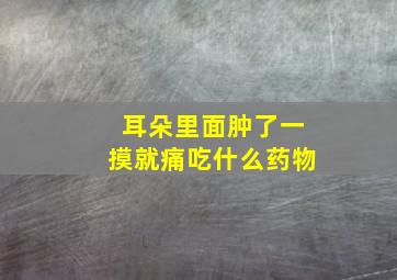 耳朵里面肿了一摸就痛吃什么药物