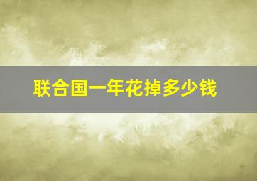 联合国一年花掉多少钱