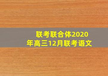 联考联合体2020年高三12月联考语文