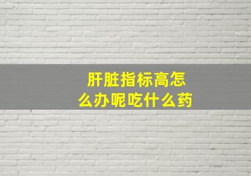 肝脏指标高怎么办呢吃什么药