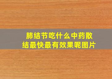 肺结节吃什么中药散结最快最有效果呢图片