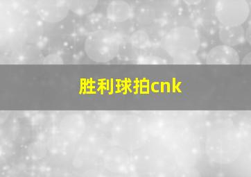 胜利球拍cnk