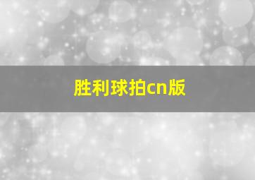 胜利球拍cn版