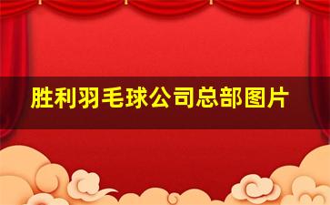 胜利羽毛球公司总部图片