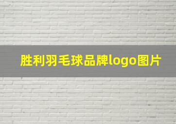 胜利羽毛球品牌logo图片