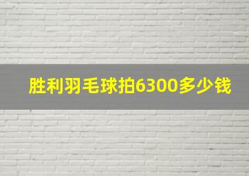 胜利羽毛球拍6300多少钱