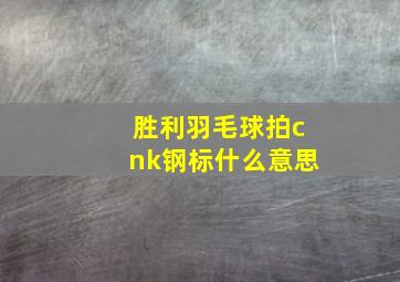 胜利羽毛球拍cnk钢标什么意思