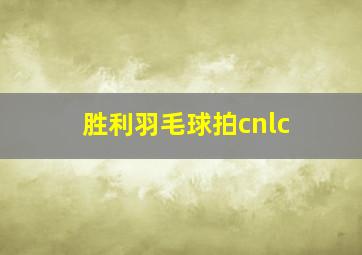 胜利羽毛球拍cnlc