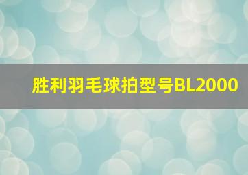 胜利羽毛球拍型号BL2000