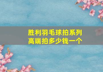 胜利羽毛球拍系列高端拍多少钱一个